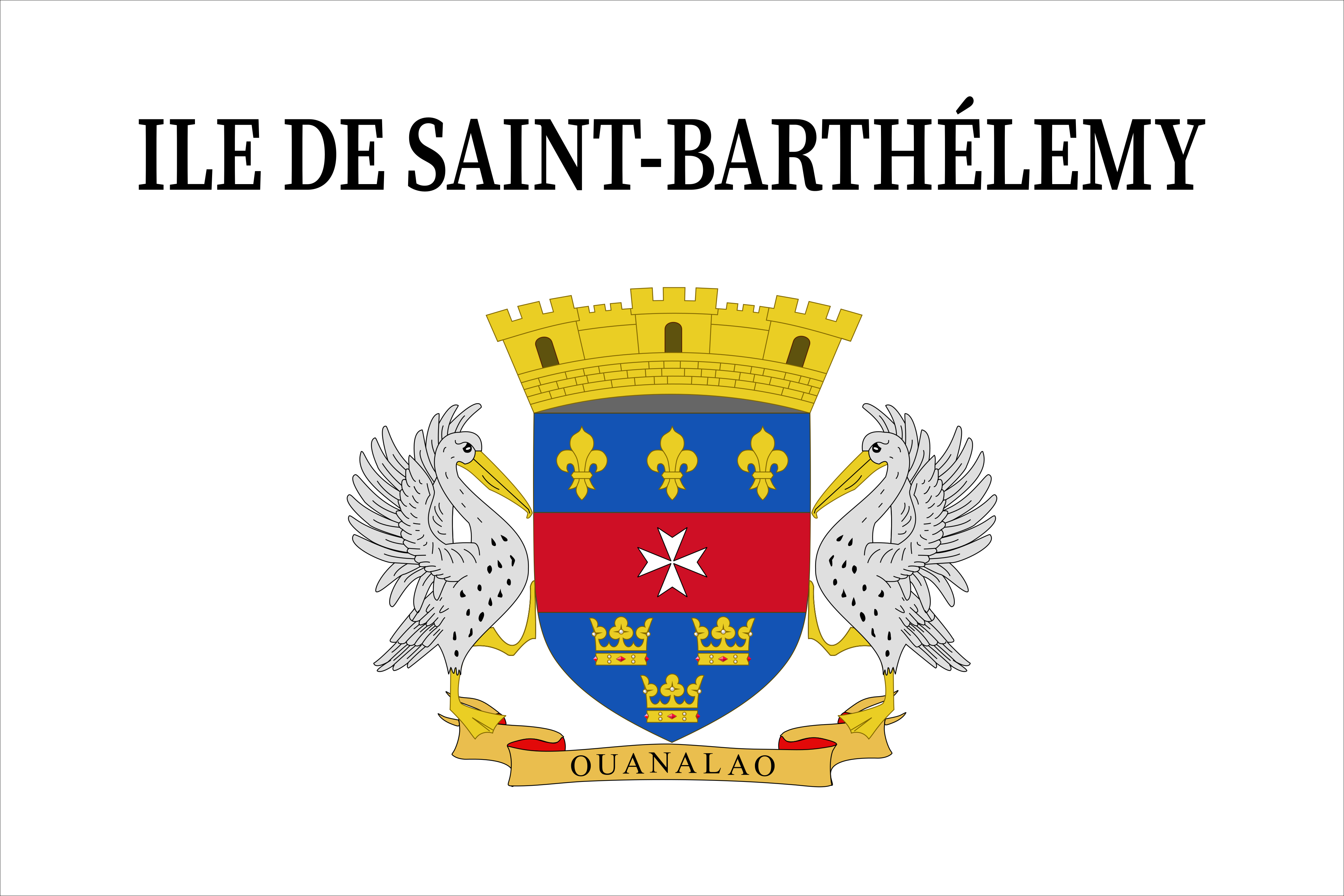 Unofficial Flag of Saint Barthélemy