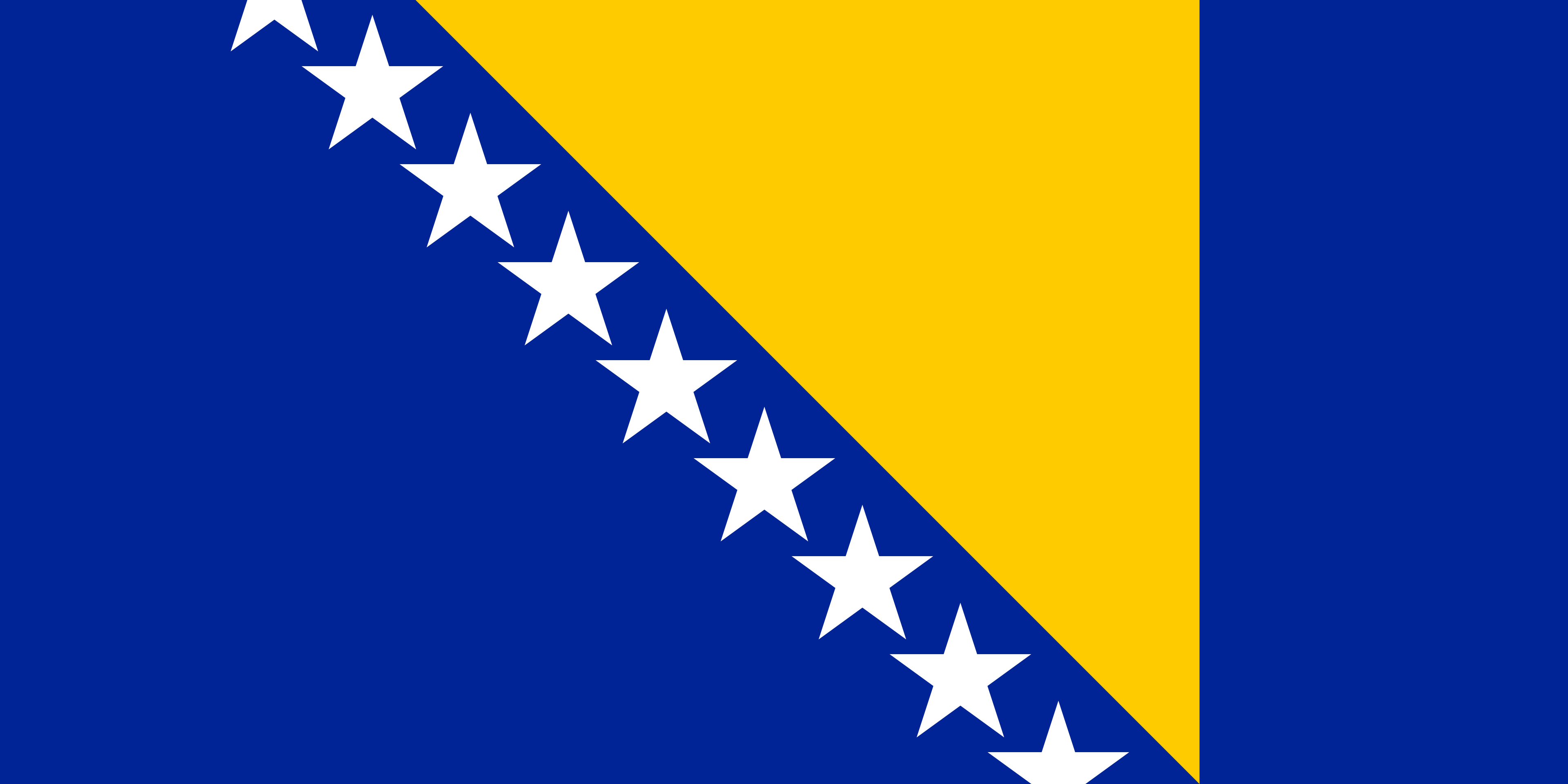 Flag of Bosnia and Herzgovina